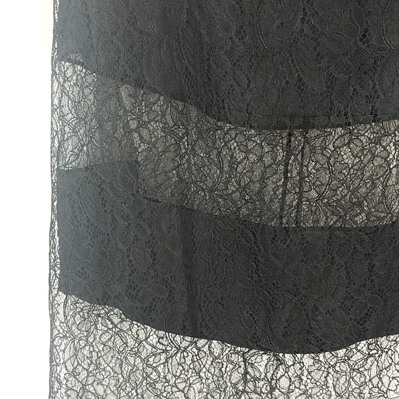 Chanel 17/SS Runway Black Lace Striped Midi Skirt - Picture 6 of 11